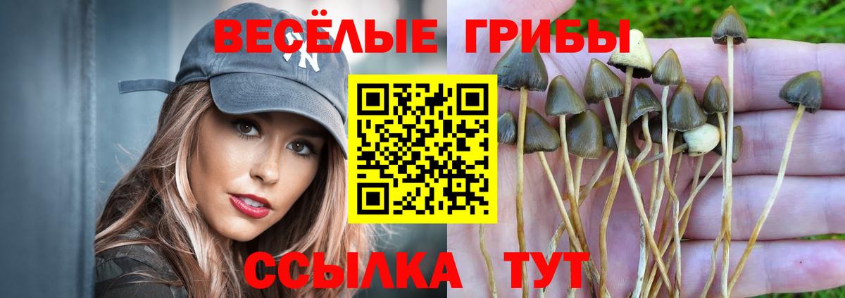 Псилоцибиновые грибы прущие грибы  Вход с VPN  Москва 